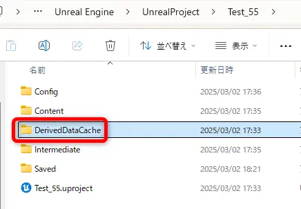 プロジェクトのDerviedDataCacheフォルダ